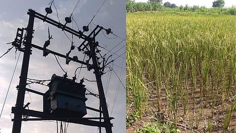 नंदुरबार: महावितरण विभागाचा कारभार; शेतकऱ्यांना पूर्वसूचना न देताच...