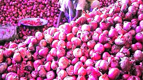 कांदा । Onion