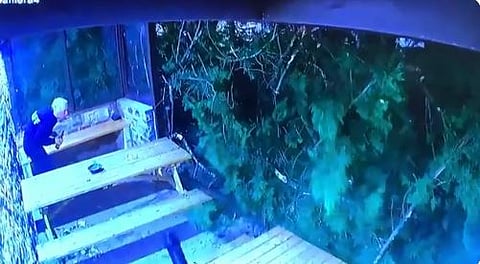 सिगारेटमुळे वाचला महिलेचा जीव; धक्कादायक घटना झालेय CCTV मध्ये कैद (पहा Video)