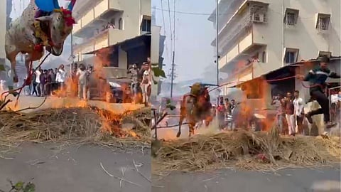 Diwali : ठाणे जिल्ह्यात बळीप्रतिपदेला 'अशीही' परंपरा