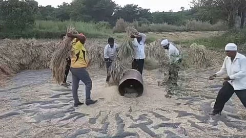 अवकाळी पावसाच्या भीतीने मावळात भात कापणीला सुरवात!