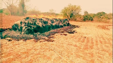 रायगड येथे भाताची गंजी जळून खाक; हाताशी आलेल्या पिकाची राखरांगोळी 