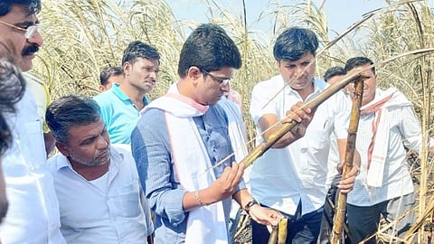 जालना: 'शेतकऱ्यांच्या उसाचे तात्काळ पंचनामे करून नुकसान भरपाई द्यावी' 