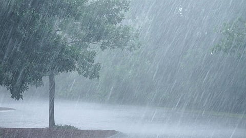 Monsoon News Updates in maharashtra