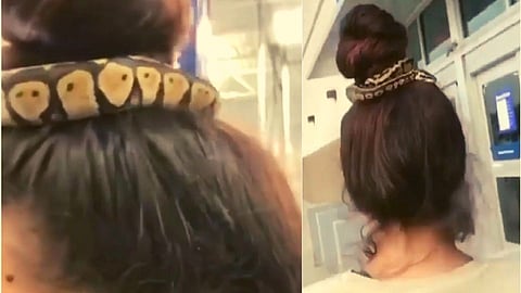बापरे बाप! महिलेने केसांमध्ये गुंडाळला साप VIDEO बघून व्हाल हैराण 