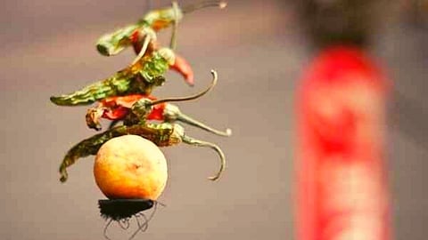 'जादूटोण्याने तुझा कोंबडा बनवू', धमकी देत 3 भोंदूबाबानी लाखांना लुटले 