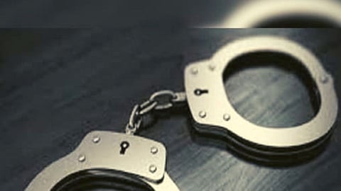 कपडे काढून मोलकरणीला मारहाण; 25 वर्षीय अभिनेत्रीला अटक