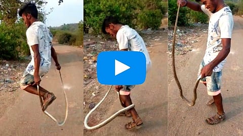 धक्कादायक : दोरी उड्यांप्रमाणे हातात साप घेऊन तरुणाने मारल्या उड्या! पहा Video
