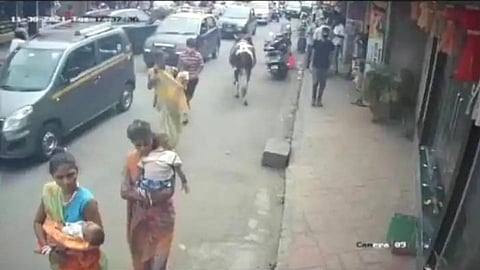 आईला बेशुद्ध करुन भांडी विकणाऱ्या महिलांनी पळवलं 3 महिन्याच बाळ; महिला CCTV मध्ये कैद