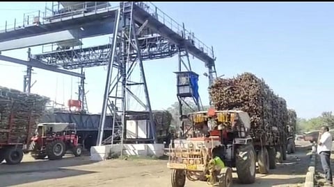 sugarcane factory