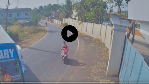 Viral Video On Social Media