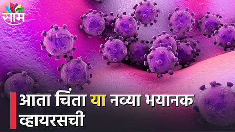 Langya Henipavirus