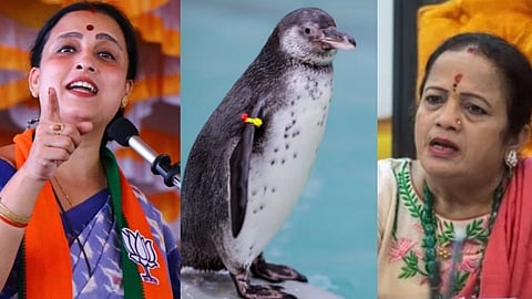 Make Penguin Mayor said Chitra Wagh