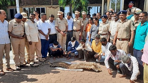 khardi forest department arrested 7 while selling leopard skin