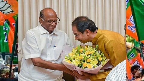 Sharad Pawar/ Uddhav Thackeray