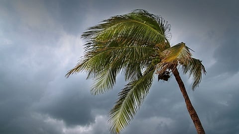 Cyclone Asani