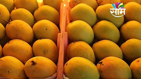 Konkan Hapus: इतर राज्यातील आंबा ‘कोकण हापूस' म्हणून विकल्यास कारवाई होणार, पणन संचालकांचे आदेश
