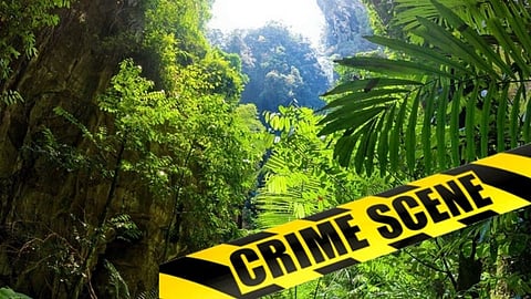 Crime 