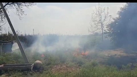 Latur: महावितरणाच्या गलथान कारभाराचा शॉक; शेतकऱ्यांचा 11 एकर ऊस जळून खाक