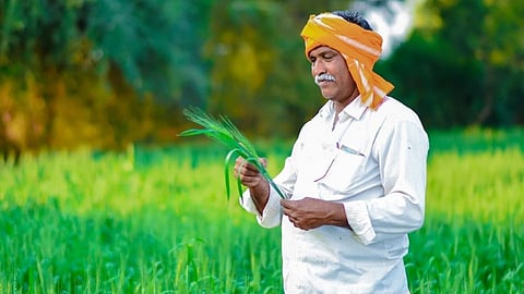 farmer