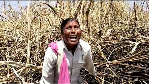 Beed Farmers