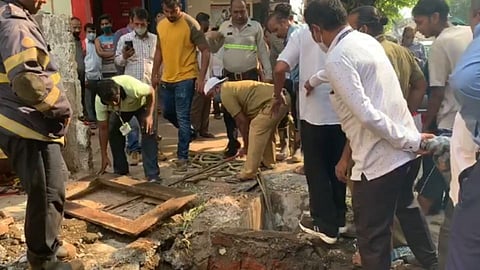 Cow in Drainage
