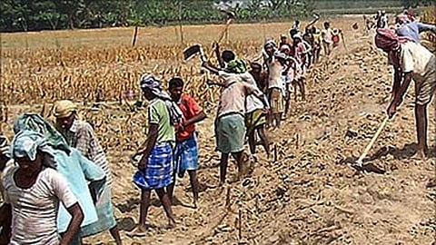 Rojgar Hami Yojana