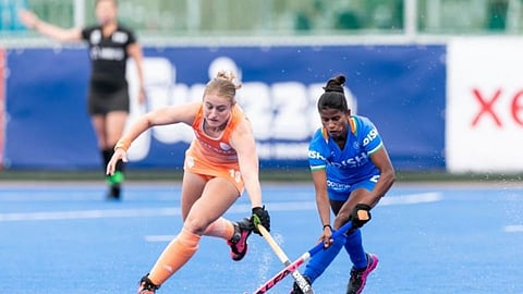india vs netherland fih hockey semi final match