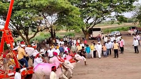Shri Nagnath Yatra News | Bagad News