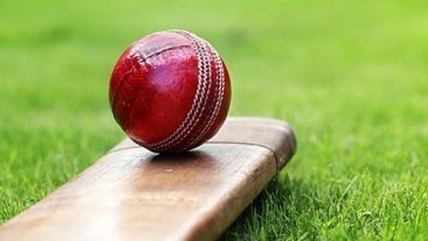 Womens Cricket