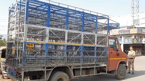 Maval News