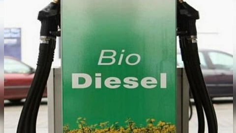 Biodiesel 