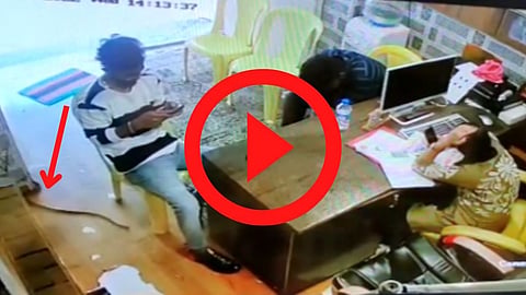 Snake Viral Video : ऑफिसमध्ये शिरला साप आणि झालं असं काही...