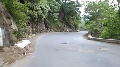 wild pigs attack on leopard in tamilnadu jungle video viral