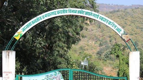 Akola News