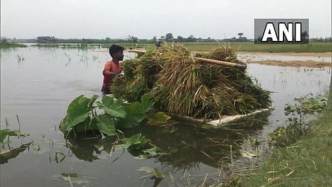 Flood In Assam News Updates, Assam Latest Marathi News