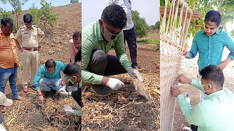 Beed News