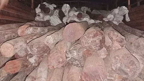  NagarPolice seized sandalwood 