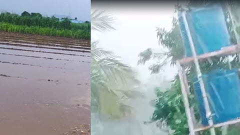 Maharashtra Monsoon Update