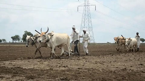 Farmers Sowing 