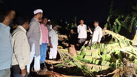 sadabhau khot, solapur, farmers.