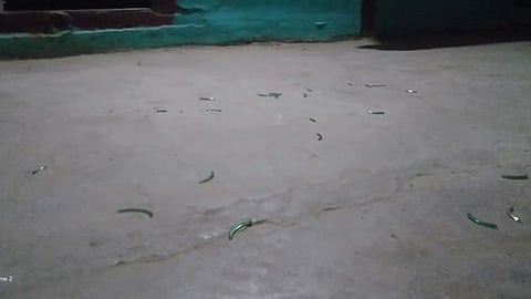 Nashik Crime 