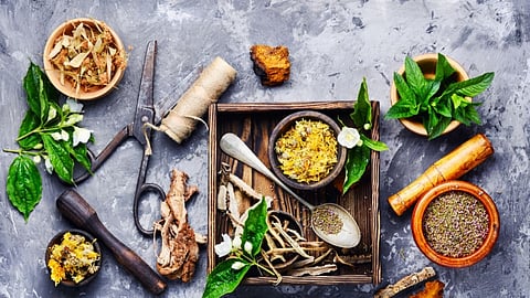 Benefits of medicinal plants, gardening at home, Gardening tips and tricks 