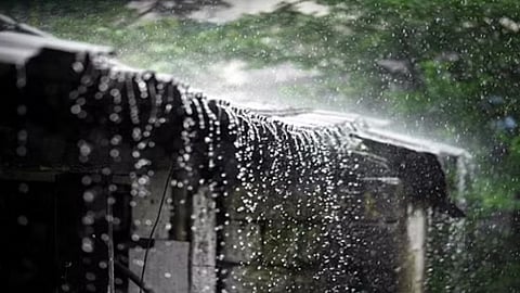 Rain 