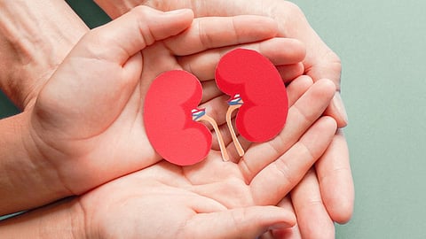 Kidney health tips, Tips, Health issue