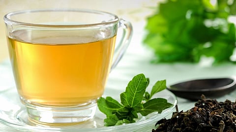 Benefits Of Drinking Green Tea, Health tips, Can Drinking Green Tea Prevent Or Cure COVID-19?