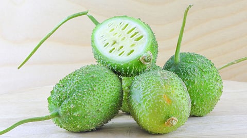 Rainy season vegetable, Ranbhajya, Monsoon vegetable