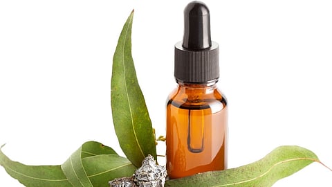 nilgiri oil benefits in marathi, health benefits of nilgiri oil