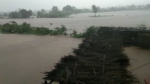 yavatmal