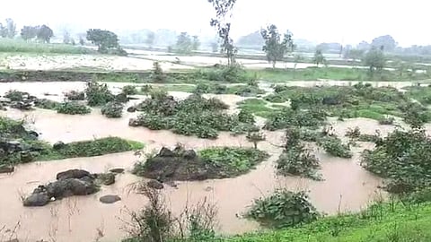 Maharashtra Rain Update